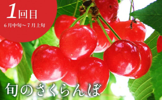 【5回定期便】小布施屋の人気フルーツ定期便 年5回コース ［小布施屋］定期便 頒布会 フルーツ 果物 長野県産  令和8年産 【2026年6月中旬～2027年2月発送】［E-8］