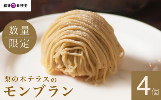 栗の木テラスのモンブラン 4個入 ［桜井甘精堂］スイーツ 菓子 栗 信州 長野県 冷凍 ご当地スイーツ 数量限定人気 期間限定 お取り寄せ ケーキ 先行予約 小布施  【2026年1月16日～4月末日発送】