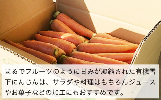 有機雪下にんじん 約4kg 栽培期間中農薬・化学肥料不使用 ［くりのみ園］ 人参 ニンジン 野菜 やさい 長野県産 信州産 期間限定 長野県産 信州産 国産 小布施町 【2026年1月～3月発送】 ［H-85］
