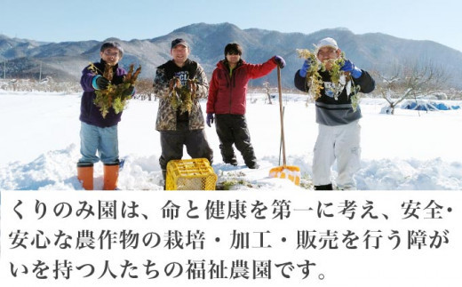 有機雪下にんじん 約4kg 栽培期間中農薬・化学肥料不使用 ［くりのみ園］ 人参 ニンジン 野菜 やさい 長野県産 信州産 期間限定 長野県産 信州産 国産 小布施町 【2026年1月～3月発送】 ［H-85］