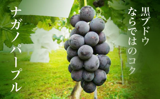 【訳あり】シャインマスカット ＆ ナガノパープル 約1.5kg［小布施屋］家庭用 規格外 不揃い 傷 果物 フルーツ ぶどう 葡萄 ブドウ 数量限定 期間限定 クール便 冷蔵便 令和8年産  【2026年9月中旬～10月下旬発送】 ［A-218］