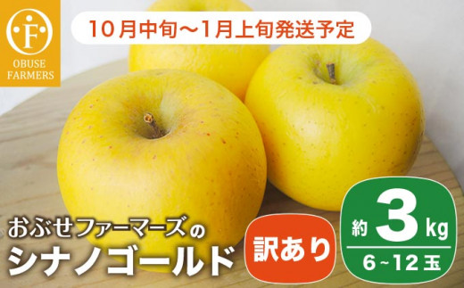 【訳あり】 シナノゴールド 約3kg 6～12玉 ［おぶせファーマーズ］ 不揃い 規格外 家庭用 りんご 林檎 リンゴ 果物 フルーツ ふじ 長野 信州 数量限定 6000円 令和7年産 【2025年10月中旬～2026年1月上旬発送】