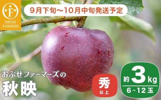 秋映 秀以上 約3kg 6～12玉 ［おぶせファーマーズ］ 果物 フルーツ りんご 林檎 リンゴ 長野県産 信州産 令和7年産 【2025年9月下旬～10月中旬発送】