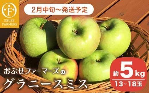グラニースミス 約5kg 13～18玉［ おぶせファーマーズ ］りんご フルーツ 果物 くだもの 【2026年2月中旬～発送】