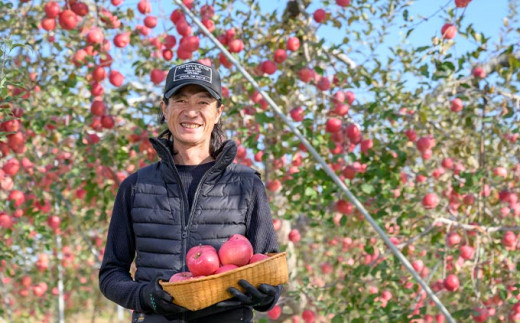 ãèš³ããã ãµã³ãµã çŽ3kg 6ïœ12çãã¶ããã¡ãŒããŒãºïŒœ äžæã èŠæ Œå€ å®¶åºçš ããã ææª ãªã³ãŽ æç© ãã«ãŒã ãµã é·é ä¿¡å· æ°ééå® ã2025幎11æäžæ¬ïœ2026幎2æäžæ¬çºéã