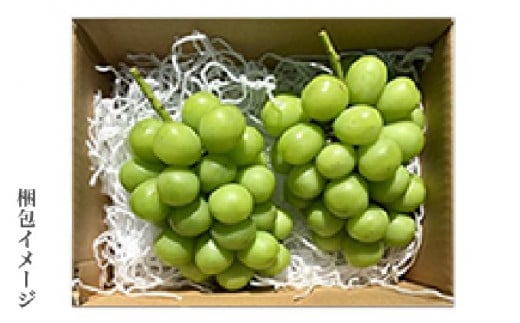 蔵出し冬のシャインマスカット 約1kg 2房 ［小布施屋 ］長野県 ぶどう フルーツ 果物 冷蔵便 クール便 令和7年産【2025年11月中旬～2026年2月発送】
