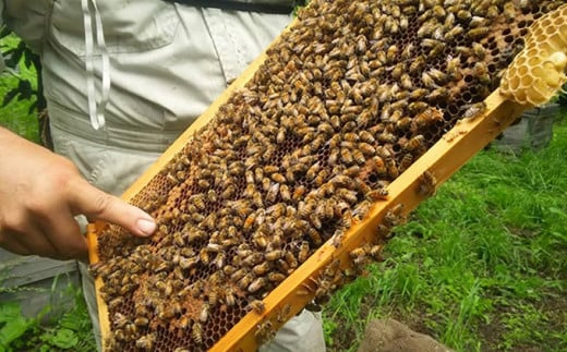 åœç£ ã¯ã¡ã¿ã€ã»ãã ( æ ã»ããã ) 160g à 2çš® å°åžæœå±ïŒœ èè ãããã é·éçç£ ãåãå¯ã è©°ãåãã è©°åã