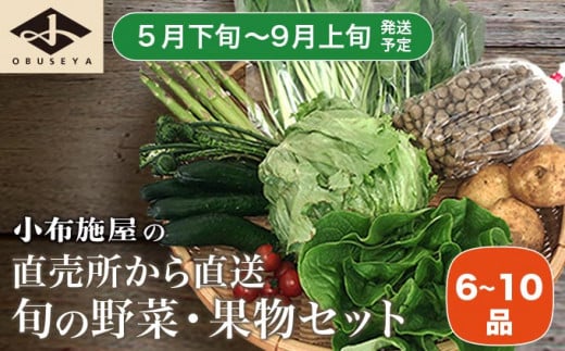 直売所から直送 旬の野菜・果物セット 6～10品 ［小布施屋］野菜 やさい 果物 フルーツ 詰め合わせ 詰合せ  令和8年産【2026年5月下旬～9月上旬発送】 ［H-79］