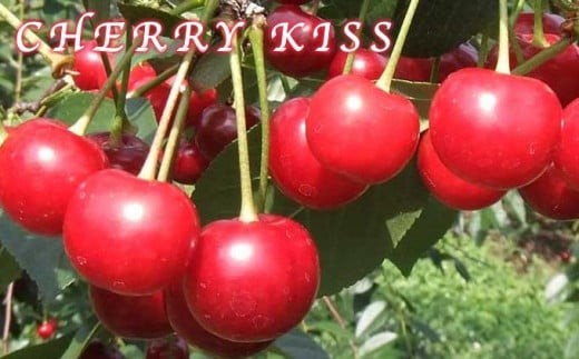 ブラムリージャム・チェリーキッスジャムのセット 140g × 各1個 計2個 ［小布施屋］ ジャム 詰合せ 食べ比べ 味比べ 味くらべ りんご 林檎 さくらんぼ ギフト 贈り物 お取り寄せ 瓶 長野県 信州 小布施