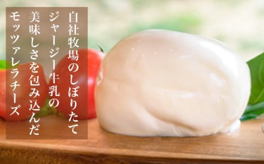 無添加 小布施牧場の搾りたてジャージー牛乳で作ったモッツァレラチーズ 100g × 2個 ［小布施牧場］チーズ モッツァレラ プレゼント 長野 信州 冷蔵便 クール便
