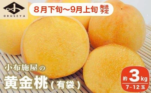 黄金桃（有袋） 約3kg 7～12玉 ［小布施屋］ 桃 もも モモ フルーツ 果物 令和8年産 【2026年8月下旬～9月上旬発送】 ［A-214］