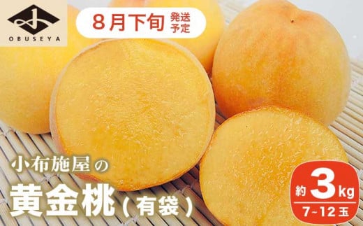 黄金桃（有袋） 約3kg 7～12玉 ［小布施屋］ 桃 もも モモ フルーツ 果物 令和7年産 【2025年8月下旬発送】