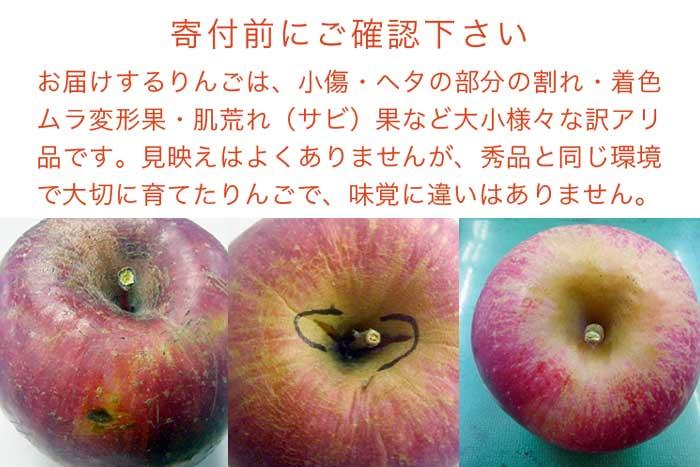 ãèš³ããã ãµã³ãµã çŽ5kg 11ïœ18çãã¶ããã¡ãŒããŒãºïŒœ äžæã èŠæ Œå€ å®¶åºçš ããã ææª ãªã³ãŽ æç© ãã«ãŒã ãµã é·é ä¿¡å· æ°ééå® ä»€å7å¹Žç£ ã2025幎11æäžæ¬ïœ2026幎2æäžæ¬çºéã