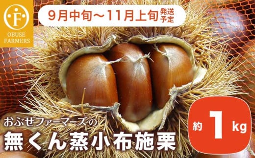 無くん蒸小布施栗 約1kg ［おぶせファーマーズ］ 果物 フルーツ 生栗 くり 長野県産 信州産 令和7年産 【2025年9月中旬～11月上旬発送】