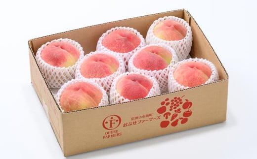 あかつき 約3kg 7～12玉 ［おぶせファーマーズ］桃 もも モモ フルーツ 果物 クール便 冷蔵便 長野県産 信州産  令和8年産【2026年7月下旬～8月上旬発送】