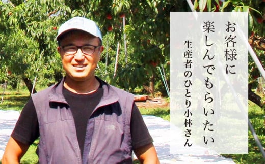 なつっこ 約3kg 7～12玉 ［おぶせファーマーズ］桃 もも モモ フルーツ 果物 クール便 冷蔵便 長野県産 信州産  令和8年産【2026年8月上旬～中旬発送】［F-15］