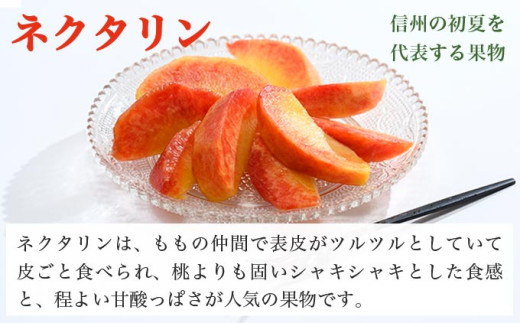 メイグランド 約2.6kg ［おぶせファーマーズ］ 果物 フルーツ ネクタリン 長野県産 信州産 令和8年産 【2026年7月中旬～8月上旬発送】