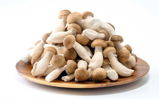 縺カ縺ェ縺励a縺 300g テ 4陲 シサ縺翫カ縺帙ヵ繧。繝シ繝槭シ繧コシス 縺阪ョ縺 繧ュ繝弱さ 驥手除 骰 轤偵a迚ゥ 髟キ驥 菫。蟾