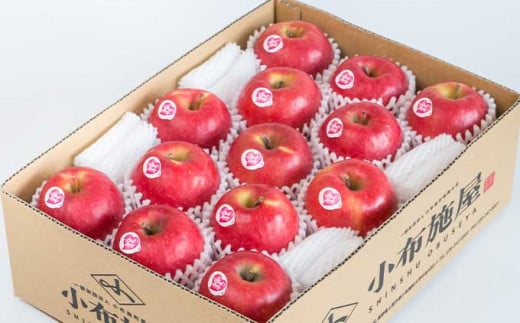 冬春が旬の希少なりんご ピンクレディー 約2.8kg 10～16玉［小布施屋］りんご 林檎 リンゴ 果物 フルーツ 期間限定 数量限定 長野県産 信州産 小布施町 2月発送 3月発送 4月発送 5月発送 令和7年産 【2026年1月中旬～5月下旬】［A-51］