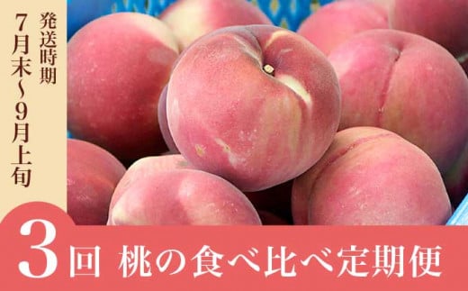 小布施町 桃の食べ比べ定期便 約1.8kg×3回 ［小布施屋］ 桃 もも モモ フルーツ 果物 冷蔵便 クール便 長野県産 令和7年産【2025年7月末～9月上旬発送】