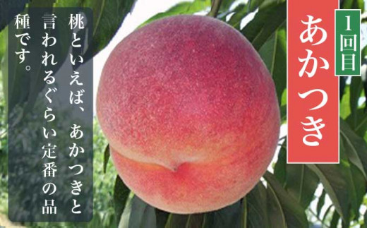 【3回定期便】小布施屋の 桃食べ比べ定期便 約1.8kg×3回 ［小布施屋］ 桃 もも モモ フルーツ 果物 冷蔵便 クール便 長野県産 令和8年産【2026年7月末～9月上旬発送】[B-502]