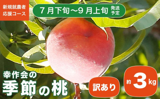 【訳あり】季節の桃 約3kg［新規就農者応援コース 幸作会］フルーツ 果物 桃 もも モモ 長野県産 信州産  令和7年産【2025年7月下旬～9月上旬発送】