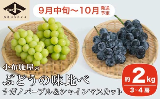高級ぶどう味比べ詰合せ ナガノパープル ＆ シャインマスカット 約2kg 3～4房 ［小布施屋］ 果物 フルーツ ぶどう 葡萄 詰め合わせ セット 食べ比べ 令和8年産【2026年9月中旬～10月発送】
