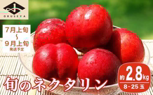 旬のネクタリン 約2.8kg 8～25玉 ［小布施屋］ 果物 フルーツ 桃 もも 長野県産 小布施 冷蔵便 クール便 産地直送 数量限定 送料無料 令和8年産 【2026年7月上旬～9月上旬発送】