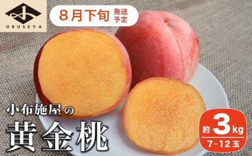 黄金桃 約3kg 7～12玉 ［小布施屋］ 桃 もも モモ フルーツ 果物 長野県産 信州産  冷蔵便 クール便 産地直送 数量限定 令和7年産【2025年8月下旬発送】