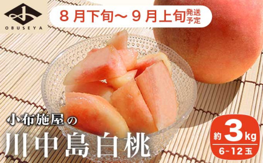 川中島白桃 約3kg 6～12玉 ［小布施屋］  桃 白桃 モモ フルーツ 果物 長野県産 信州産 クール便 冷蔵便 令和7年産【2025年8月下旬～9月上旬発送】