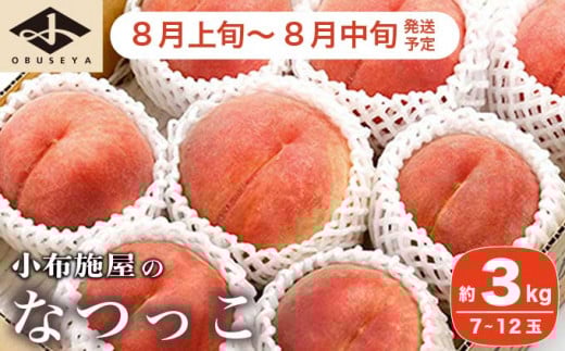 なつっこ (白桃） 約3kg 7～12玉 ［小布施屋］ 桃 白桃 もも モモ フルーツ 果物 令和7年産 【2025年8月上旬～中旬発送】