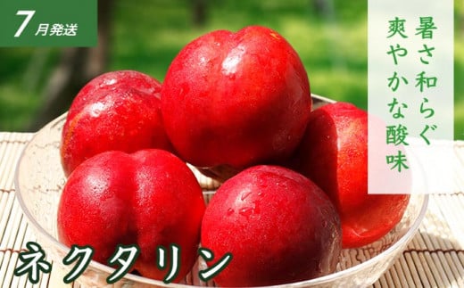 3åå®æäŸ¿ïŒœ å€ã®å³èŠ3åã³ãŒã¹ å°åžæœå±ïŒœ å
è¡äºçŽ ãã«ãŒã æç© ãã ãã® éè ããã æ°ééå® ãã¯ã¿ãªã³ æ¡ ã·ã£ã€ã³ãã¹ã«ãã ã¶ã©ã ã¯ãŒã«äŸ¿ å·èµ ãæ¥œãã¿ 3åãå±ã é·éçç£ ä¿¡å·ç£ 什å8å¹Žç£ ã2026幎7æïœ10æçºéã