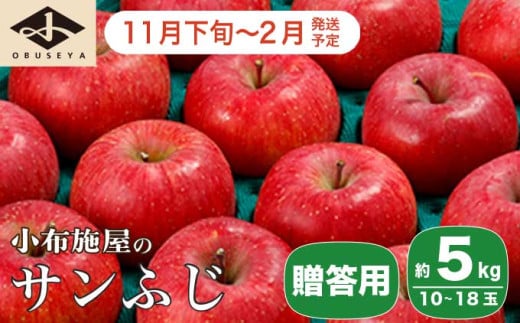 サンふじ 贈答用 約5kg 10～18玉 ［小布施屋］ りんご 林檎 リンゴ  果物 フルーツ 令和7年産【2025年11月下旬～2026年2月発送】