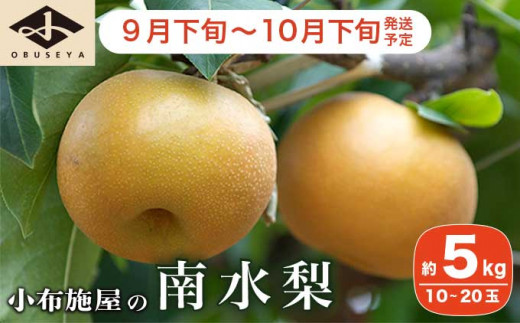 南水梨 約5kg 10-20玉 ［小布施屋］  なし 梨 果物 フルーツ 令和8年産 【2026年9月下旬～10月下旬発送】［A-210］