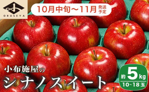 シナノスイート 約5kg 10～18玉 ［小布施屋］りんご 林檎 リンゴ  果物 フルーツ 令和7年産【2025年10月中旬～11月発送】 ［A-207］