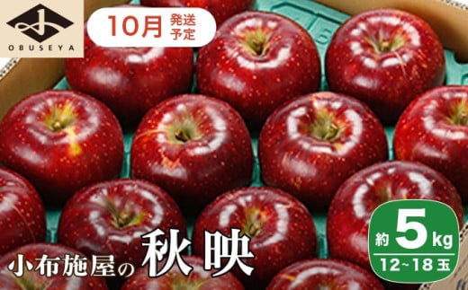 秋映 約5kg 12～18玉 ［小布施屋］  りんご 林檎 リンゴ 果物 フルーツ 令和7年産【2025年10月発送】