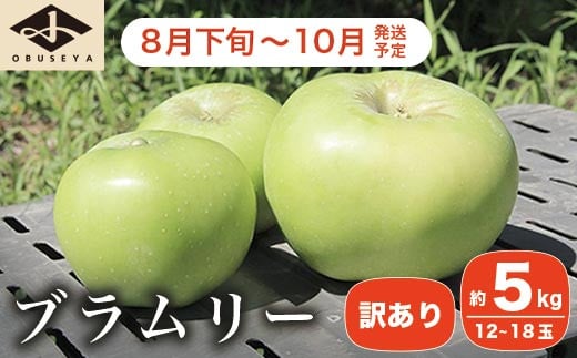 【訳あり】 クッキングアップル ブラムリー 約5kg 12～18玉 ［小布施屋］  林檎 リンゴ フルーツ 果物 傷 キズ 不揃い 規格外 家庭用 令和8年産  【2026年8月下旬～10月発送】  ［A-47］