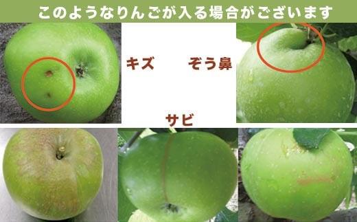 【訳あり】 クッキングアップル ブラムリー 約5kg 12～18玉 ［小布施屋］  林檎 リンゴ フルーツ 果物 傷 キズ 不揃い 規格外 家庭用 令和8年産  【2026年8月下旬～10月発送】  ［A-47］