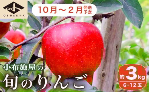長野県産 旬のりんご 約3kg 6～12玉 ［小布施屋］ りんご 林檎 リンゴ 果物 フルーツ 信州産 特産 産地直送 産直 数量限定 お任せ お楽しみ 秋映 シナノスイート シナノゴールド シナノホッペ サンふじ 令和7年産 【2025年10月～2026年2月発送】