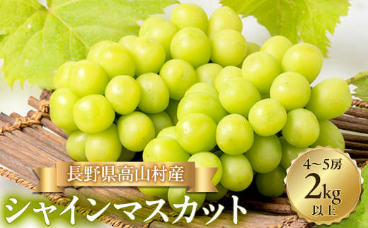 【2026年発送】シャインマスカット4〜5房(2kg以上)【配送不可地域：離島・北海道・沖縄県】【1404944】