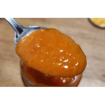 【信州産あんず】≪匠の製法が凝縮!≫ 濃厚あんずジャム 200gx4個【1534096】