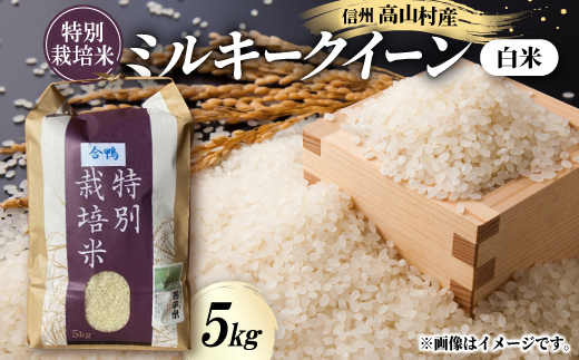 特別栽培米「ミルキークイーン」 白米5kg【1023915】