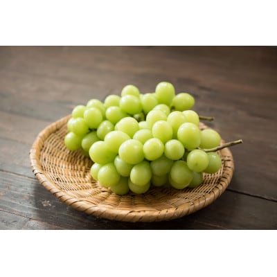 ä¿¡å·ã®é«åè²ã¡ã·ã£ã€ã³ãã¹ã«ãã 倧ãã600gÃ2æ¿å
¥ã1.2kgãé
éäžå¯å°åïŒé¢å³¶ãã1341284ã