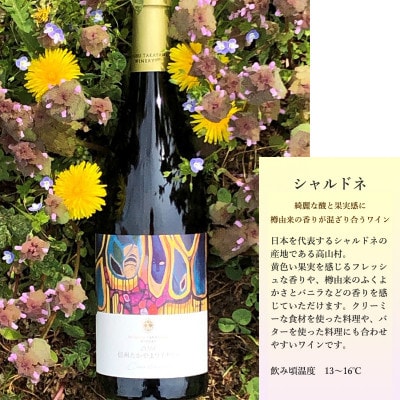 ä¿¡å·ããããŸã¯ã€ããªãŒã®èµ€ã¯ã€ã³ã»çœã¯ã€ã³2æ¬ã»ãã(ã¡ã«ããŒ&ã«ãã«ããã·ã£ã«ãã)ãé
éäžå¯å°åïŒé¢å³¶ãã1402296ã