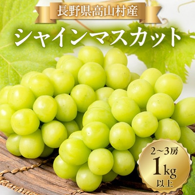 【2026年発送】シャインマスカット2〜3房(1kg以上)【配送不可地域：離島・北海道・沖縄県】【1404280】