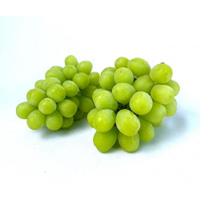 【先行受付】信州高山村産　シャインマスカット1kg(2〜3房入り)秀品(訳あり品ではございません)【配送不可地域：離島・北海道・沖縄県】【1740774】