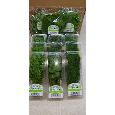 信州高山村産フレッシュハーブの詰め合わせセット(3〜6種類)【配送不可地域：離島】【1510560】