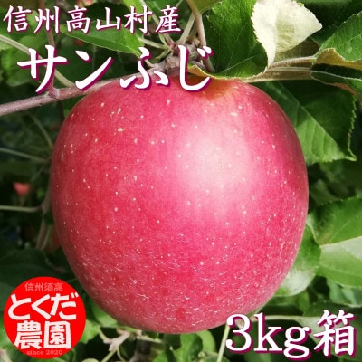 高山村産りんご(サンふじ)3kg箱【1588232】