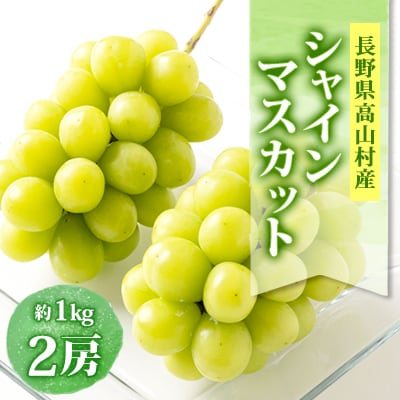 【2026発送】信州高山村 長野県産シャインマスカット　約1kg(2房入)【配送不可地域：離島・北海道・沖縄県】【1408176】