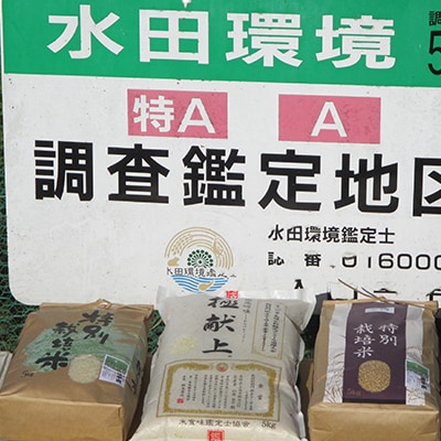 特別栽培米「ミルキークイーン」 白米5kg【1023915】